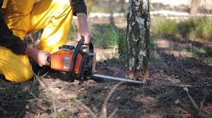 Best Stump Grinding and Removal  in Peru, IN